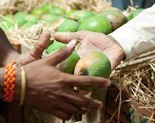 India mangoes