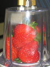 The strawberries were blended before the flavour profile was analysed