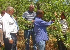 Shareholders discuss new crop with minister