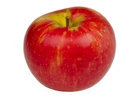Honeycrisp apple generic