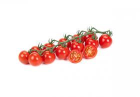 Reddery RZ cherry tomato Rijk Zwaan