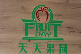 CN Fruitday logo