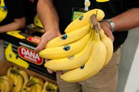 NEH Fair Trade bananas Dana