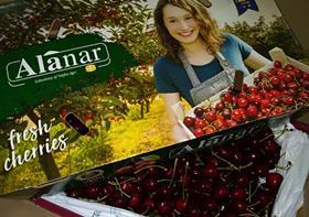 Alanar cherries