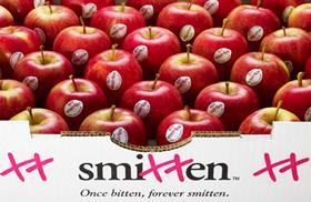 Smitten apples in box