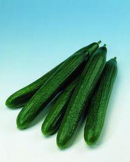 Cucumber producers facing tough times