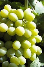 Price hikes hit grape consumption