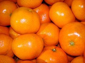 Narorcott mandarin