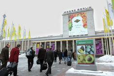 Snow failed to deter visitors to the trade fair