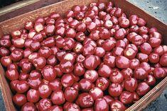 US apple sendings hit by morpholine ban