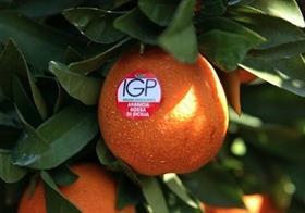 PGI red oranges Sicily