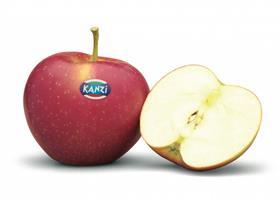 Kanzi apple