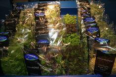 Intercrop introduces Simply Fresh salad bags