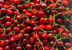 Cherries Puglia Italy Pignataro