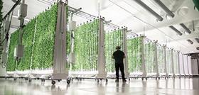 GEN Vertical Farming CREDIT Hort News