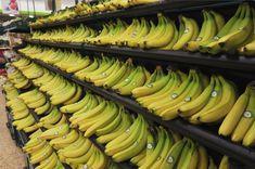 Hammocks hung for Tesco bananas