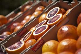 Blood oranges