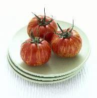 Go faster fruit with stripy tomatoes
