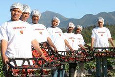 WPE South Africa's team in action