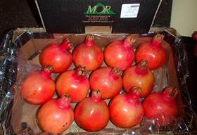 IL Mor pomegranates