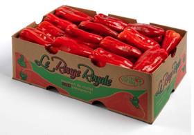 Le Rouge Royal Sun World pepper