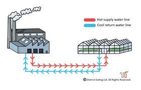 Using Waste Heat for Horticulture