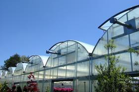 GEN greenhouse