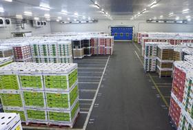 Port of Koper fresh produce cooling