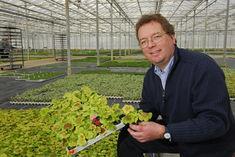 Delamore assures YP growers