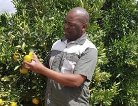 South Africa Lukhanyo Nkombisa citrus black empowerment