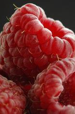 Berry Gardens boosts British raspberry share