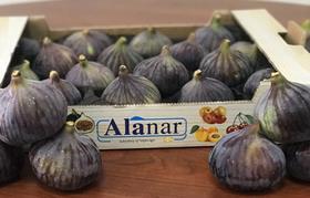 Alanar figs