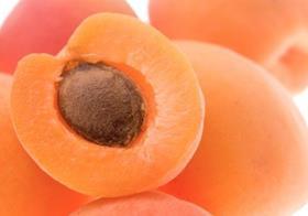 Apricot GEN