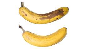 Empa Lidl bananas