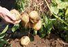 PepsiCo makes farming commitment