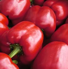 Spanish pepper crisis