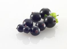 Blackcurrants offer sports recovery