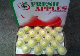 CN China Alfa Fruit Packers Golden Delicious apples