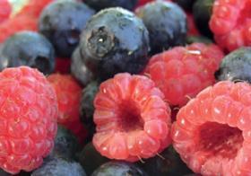 RSA berries raspberries blueberries