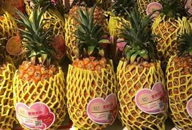 Taiwan pineapples