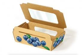 Poland Sofrupak EcoView + bigger window packaging 2021 blueberries