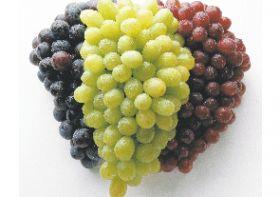 chilean grapes