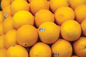 US Sunkist Navel Oranges