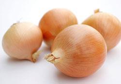 onions generic