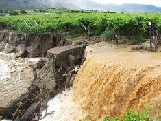 Flooded Hex Valley vineyards