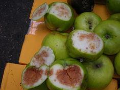 A sample of the fruit offered for sale