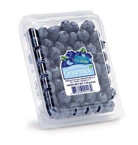 Gourmet blueberries
