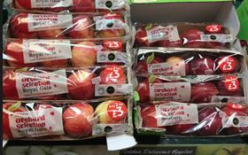 UK GB apples Tesco Orchard Selection