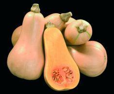 Mixed outlook for squash and pumpkins