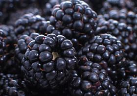 Blackberries